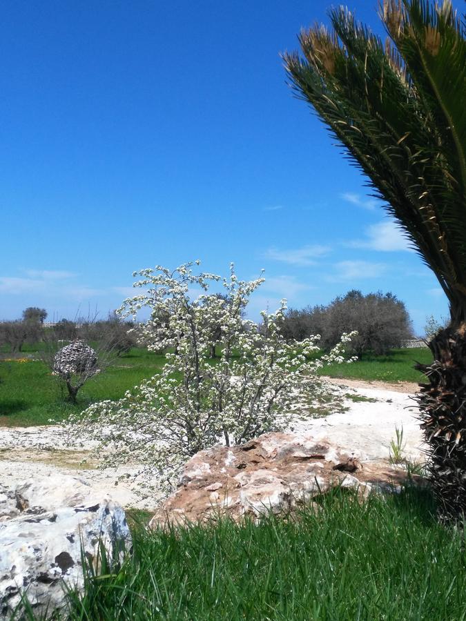 Hôtel Trulli Pietra Preziosa à Martina Franca Extérieur photo